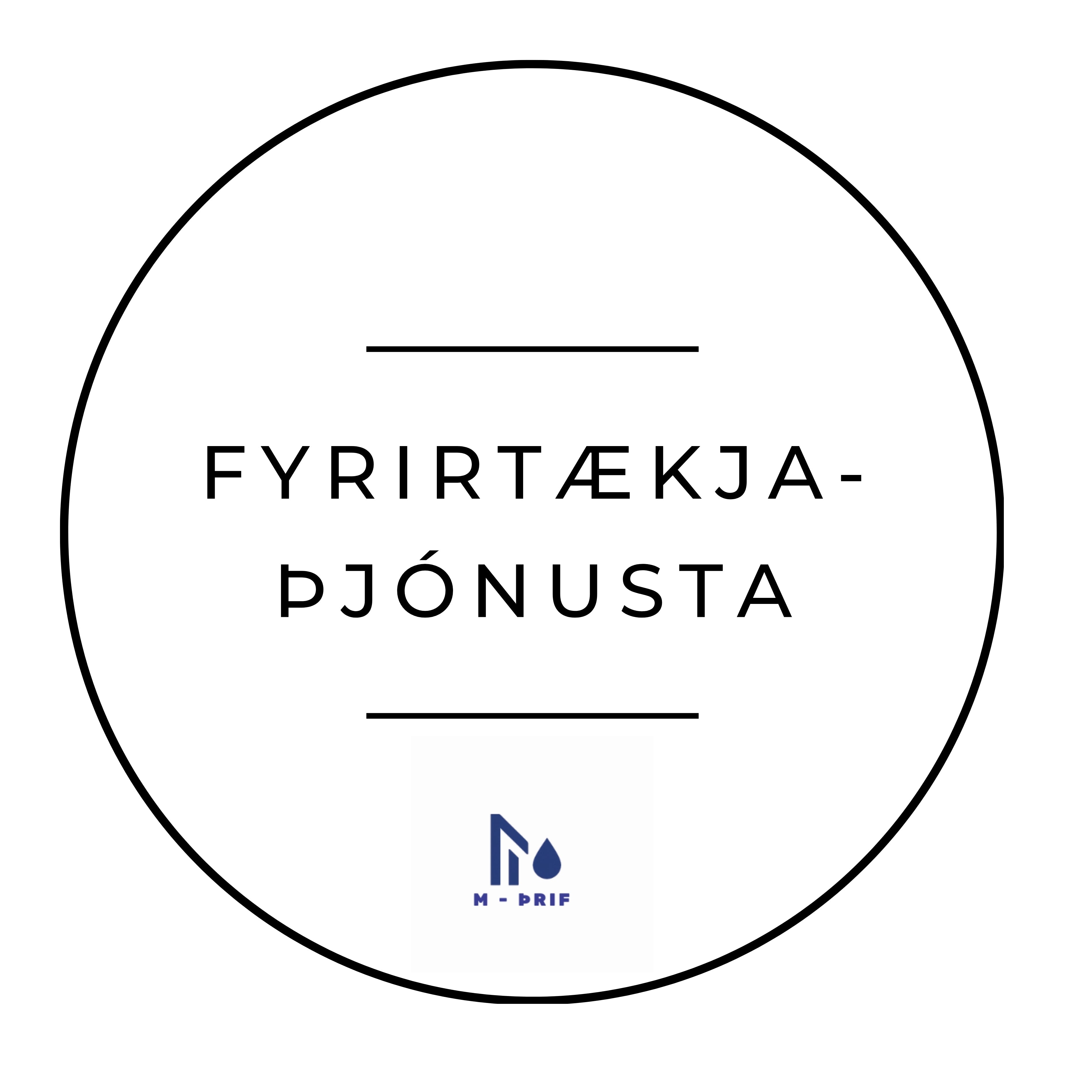Fyrirtækjaþjónusta